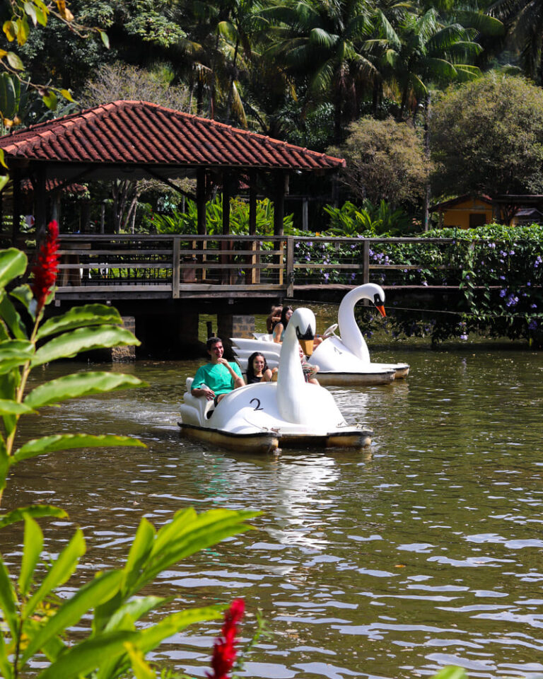 Pedalinhos no lago da fazenda, cercado de area verde