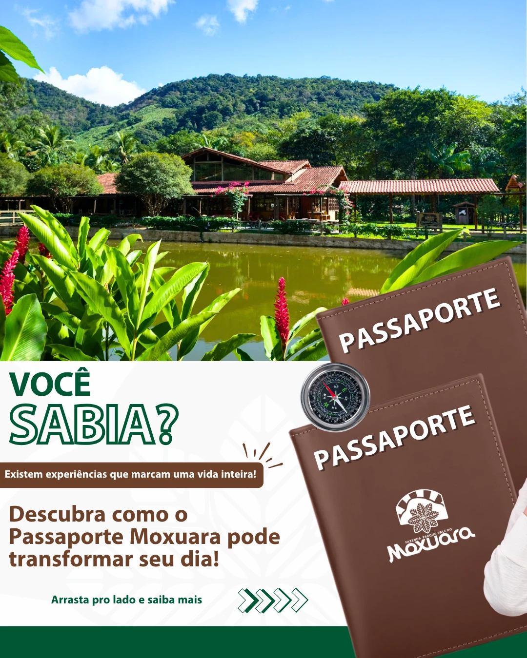 Day Use — Passaporte