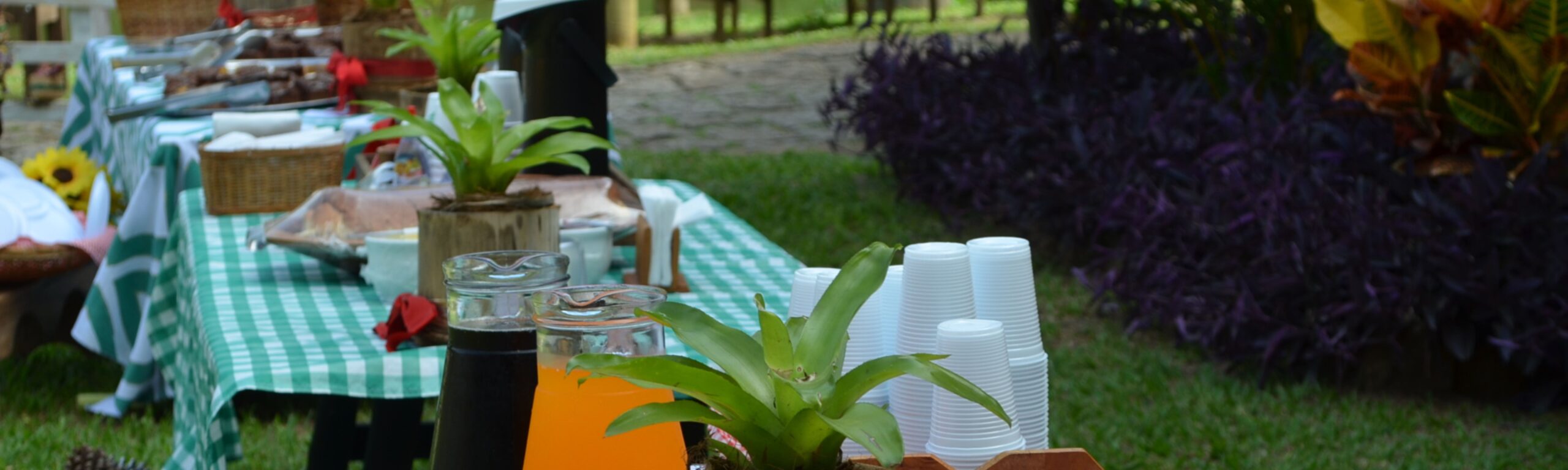 Piquenique de aniversário montado na área verde da fazenda, com toalhas xadrez e cestas
